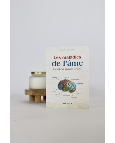 Les maladies de l’âme