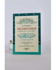 Maternité et islam